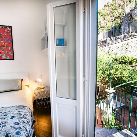 Apartament Letitino